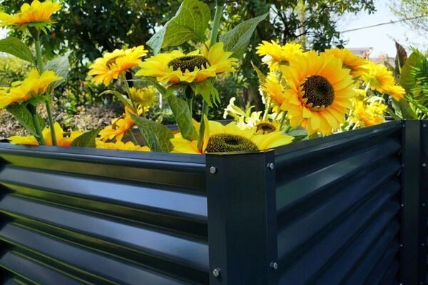 OUTFLEXX Eck-Hochbeet, Anthrazit, Zincalume, 210x210x90x84cm 10 OUTFLEXX Eck-Hochbeet, Anthrazit, Zincalume, 210x210x90x84cm – Bild 10