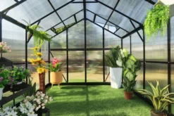 OUTFLEXX Gewächshaus, Schwarz, Alu/Polycarbonat, 250x250x228cm, Pulverbeschichtet -Deko Garten Verkauf 22277 8.jpg