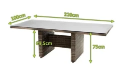 Ploß Rabida Dining Tisch, Champagner-meliert, Polyrattan, 220 X 100 Cm, Glasplatte In Steinoptik -Deko Garten Verkauf 5 20161.jpg