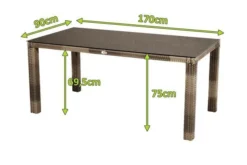 Ploß Rabida Dining Tisch, Champagner-meliert, Polyrattan, 170 X 90 Cm, Glasplatte In Steinoptik -Deko Garten Verkauf 5 20167.jpg