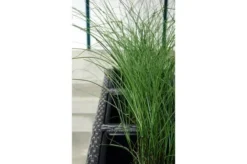 Ploß Rocking Pflanzgefäß, Grau/braun-meliert, Polyrattan, 113x40x70 Cm, Mit 3 Kunststoffeinsätzen -Deko Garten Verkauf 8 20158.jpg